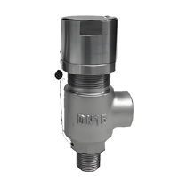 A21W with welded pipe safety valve