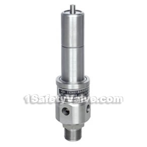 AQ-20 air compressor safety valves