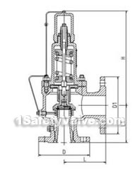 Anti-sulfur spring type safety valve constructral diagram