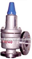 Oil refining specific safety valves