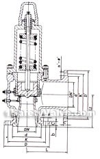 Oil refining specific safety valve constructral diagram(pic1)