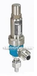 A61H/Y-160/320P spring low lift air compressor safety valve (with connecting pipe)